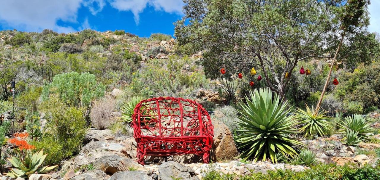 Montagu Little Sanctuary - Hot Spring Access At Reduced Price Apartment Exterior photo