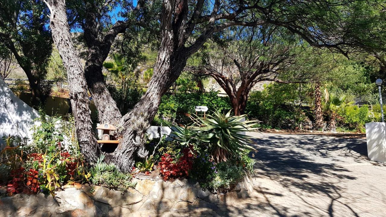Montagu Little Sanctuary - Hot Spring Access At Reduced Price Apartment Exterior photo